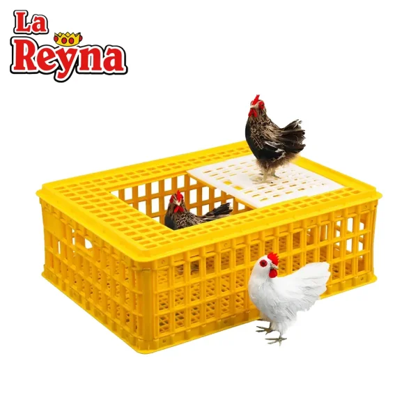Jaba para Pollo Vivo – Modelo Reyna